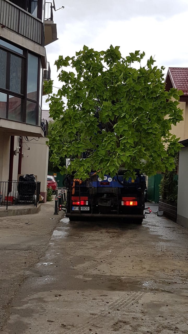 Sistem de irigații smart