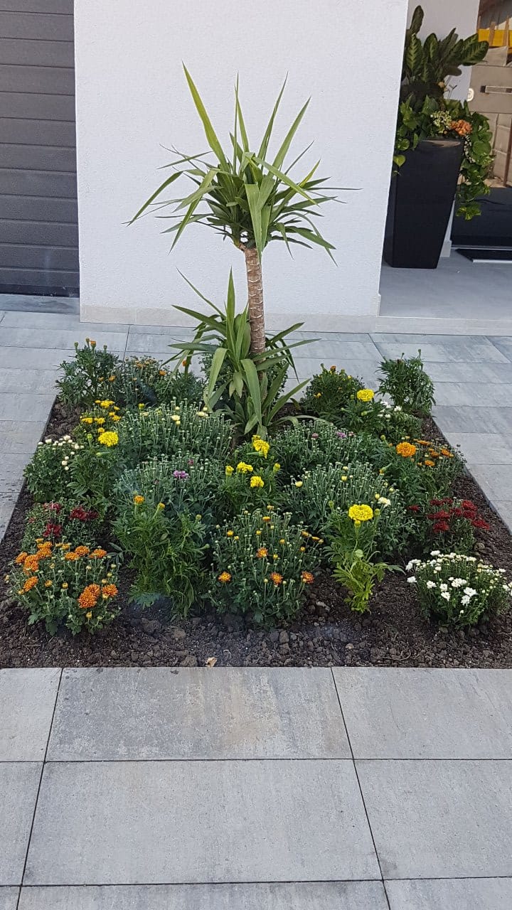 Sistem de irigații smart